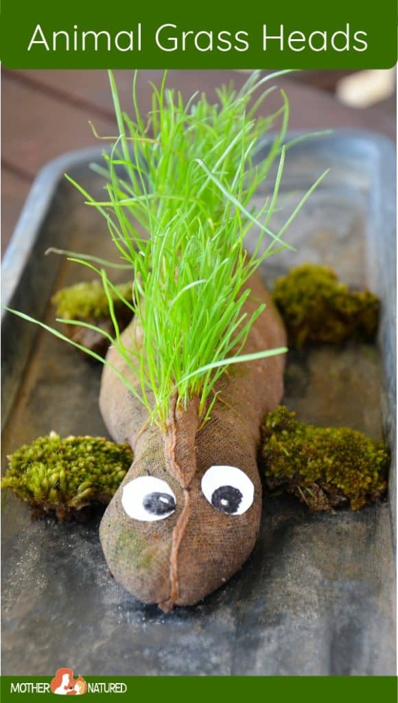 How to Make an Animal Grass Head Mother Natured